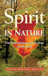 Spirit In Nature: Teaching Judaism and Ecology on the Trail