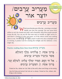 Hineni Prayer Booklet - Ma'ariv Aravim/Yotzer Or (Pack of 5)