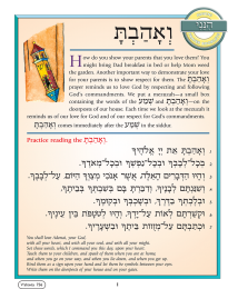 Hineni Prayer Booklet - V'ahavta (Pack of 5)