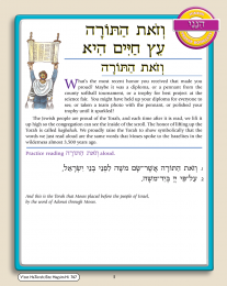Hineni Prayer Booklet - V'zot HaTorah/Eitz Hayyim Hi (Pack of 5)