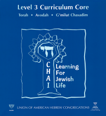 CHAI Level 3 Curriculum Core