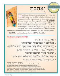 Hineni Prayer Booklet - V'ahavta (Pack of 5)