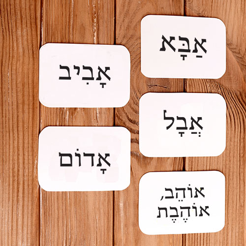 Making An Immersive Hebrew Environment? 